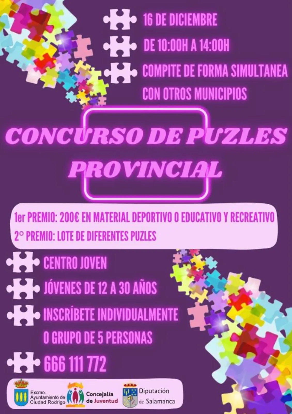 Concurso de puzles provincial